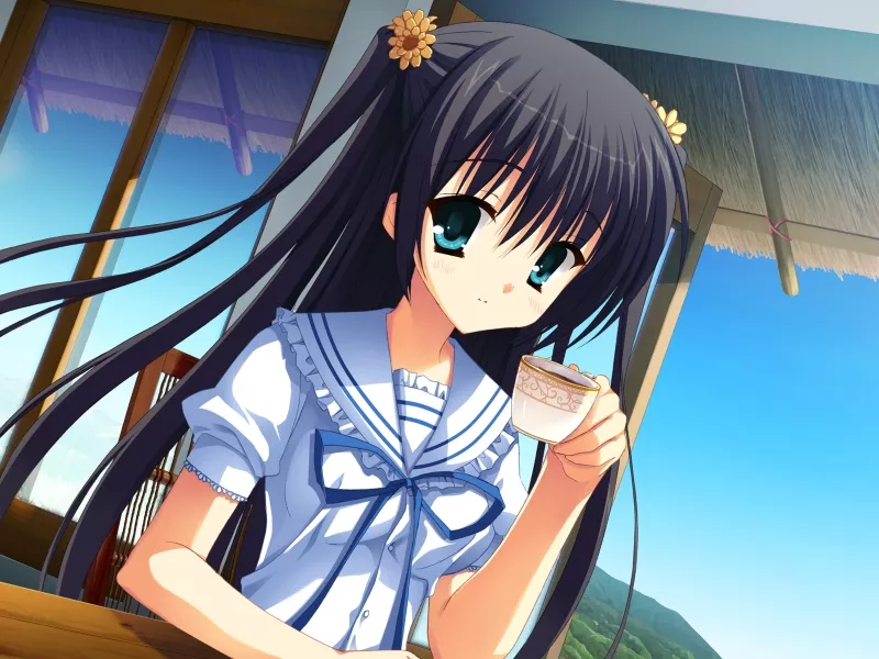 图片[2]-【PC】【柚子社】夏空彼方 / 夏空カナタ（本体+CG）-光辉ACG